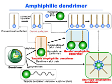 Amphiphilic dendrimers