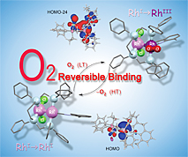 O2 Reversible Binding