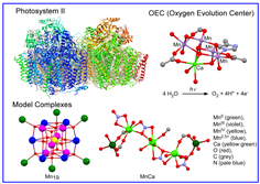 Heterogemini surfactants