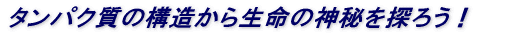 ^pN̍\琶̐_T낤I 